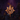 Hallowfall Arathi Renown
